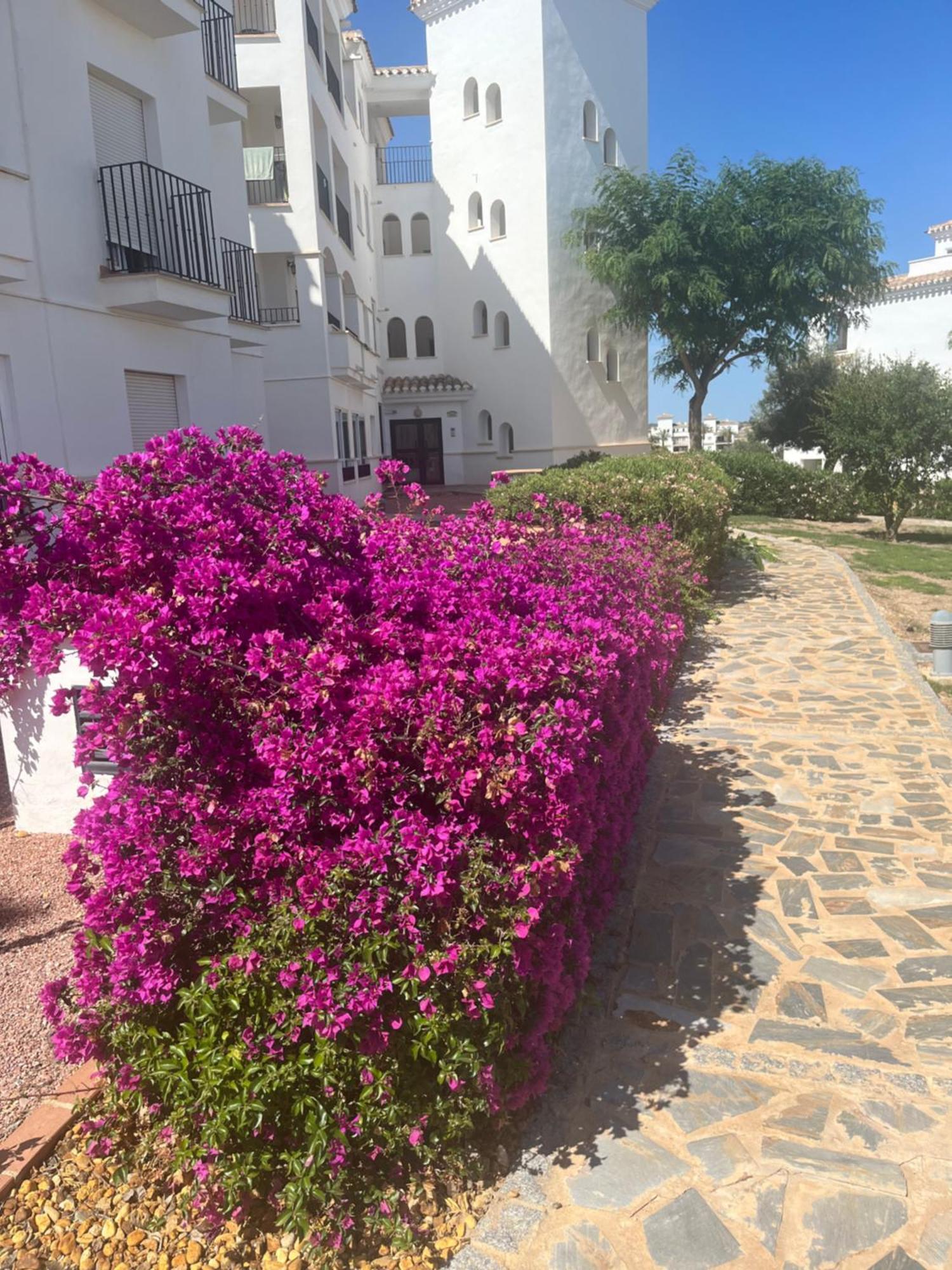 La Casa Rosita, Hacienda Riquelme Golf Resort Sucina Murcia Exteriör bild